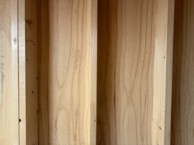 Inside Storage Shed Covington LA - showing real-wood wall siding