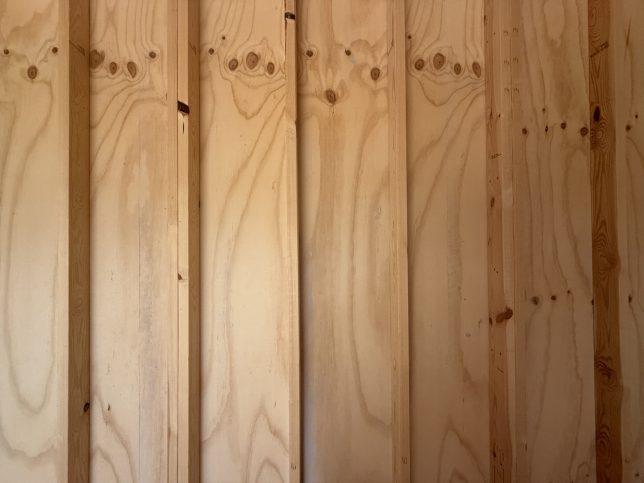 spacious 12x20 shed interior Covington LA - double studs every 4' for strength and real-wood siding