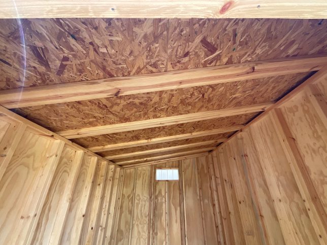 Roof framing inside Urban Shed